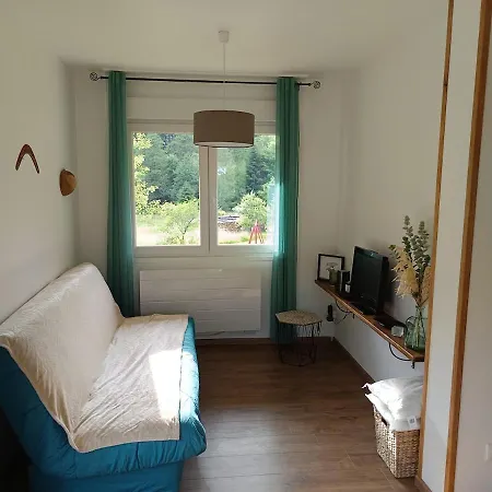 Avec Balcon Et Jardin
