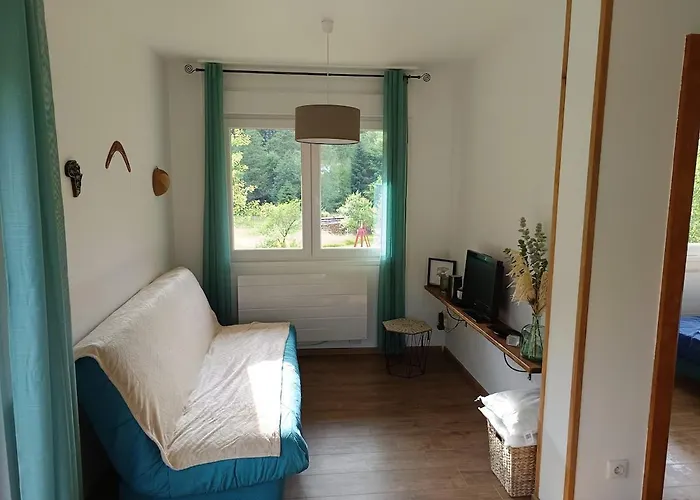 Avec Balcon Et Jardin